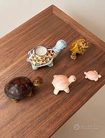 Set Collezione Tartarughe Decorativo