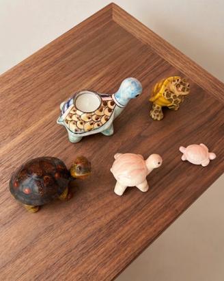 Set Collezione Tartarughe Decorativo