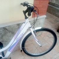 Bici per ragazza sportiva Velomarche Grafic.