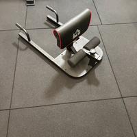 Sedia romana/ sissy squat