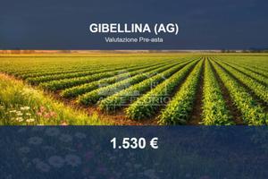 Immobile in asta di 2500 m² a Gibellina