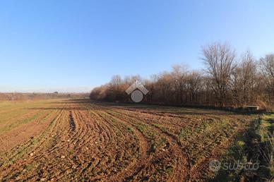 TER. AGRICOLO A MARMIROLO