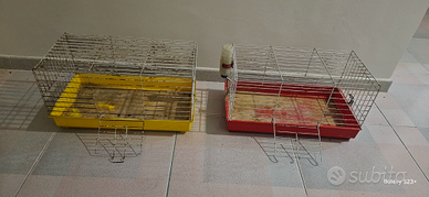 Gabbie per conigli