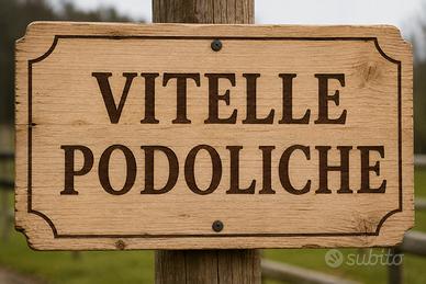 10 vitelle podoliche femmine
