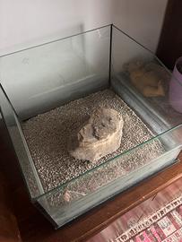 Acquario per tartarughe