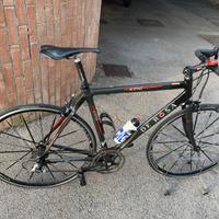 De Rosa King