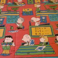 piumone invernale singolo double face