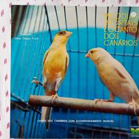 Dischi vinile 33 giri musica brasiliana