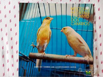 Dischi vinile 33 giri musica brasiliana