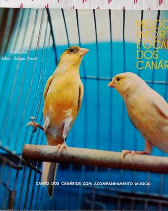 Dischi vinile 33 giri musica brasiliana