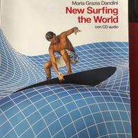 libro scolastico di esercitazioni d'inglese 
