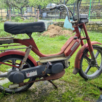Bravo Piaggio 50 cm3 in Beverino (SP)