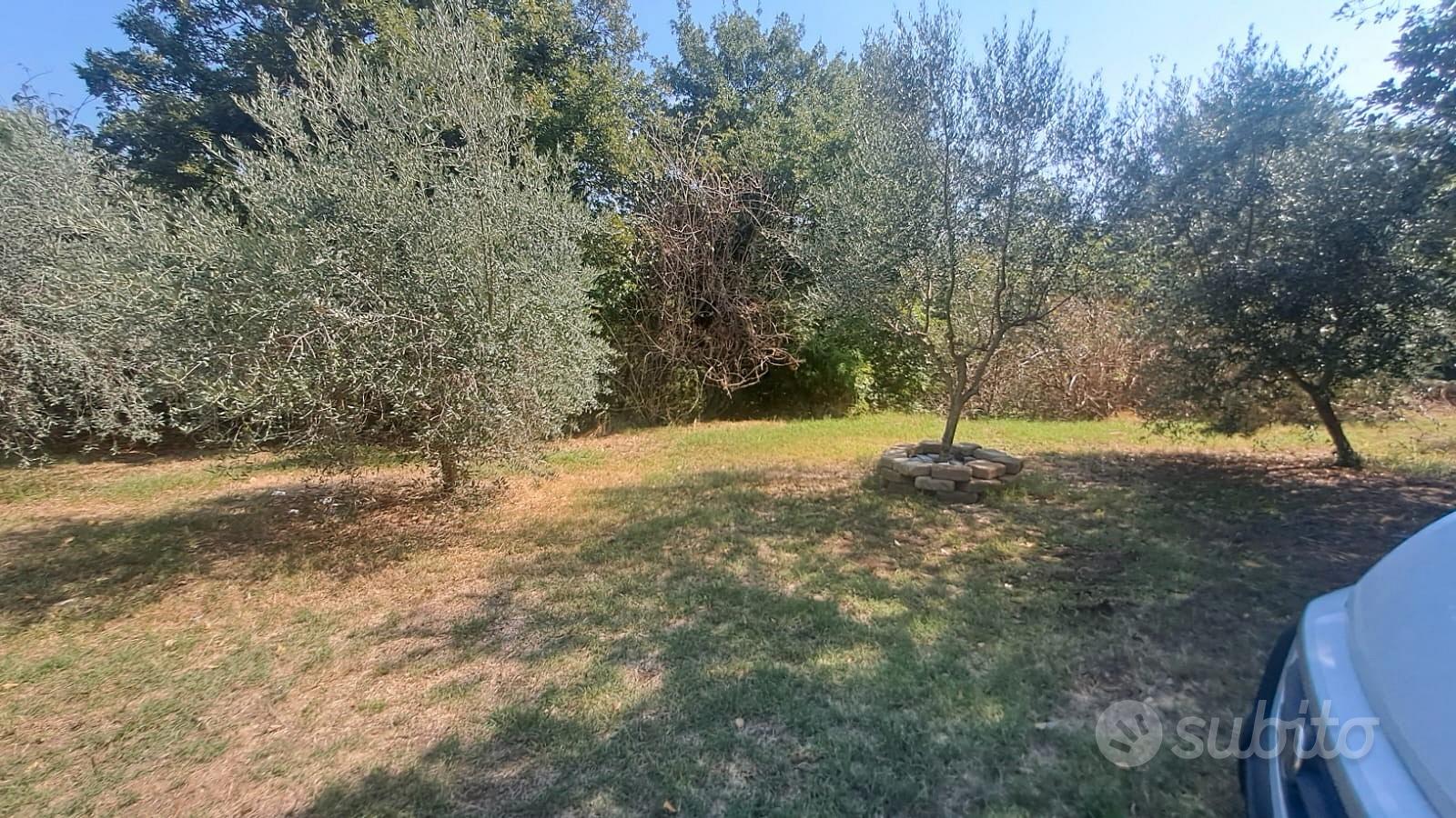 Terreno MARCO SIMONE guidonia - Vista 2