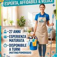 Addetta alle pulizie
