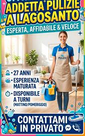 Addetta alle pulizie