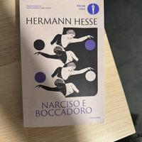 Libro Narciso e Boccadoro