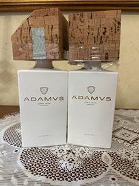 Set 2 bottiglie gin Adamus