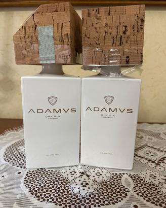 Set 2 bottiglie gin Adamus
