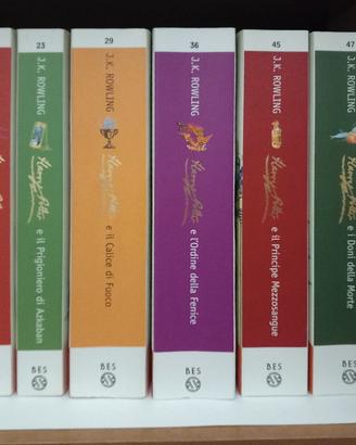 ✅️ Harry Potter Biblioteca Economica Salani BES

