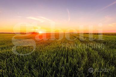 Terreno Agricolo Pozzonovo [Cod. rif 3294229VCG]