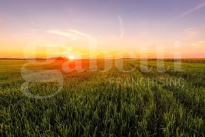 Terreno Agricolo Pozzonovo [Cod. rif 3294229VCG]