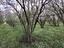 Immagine 28