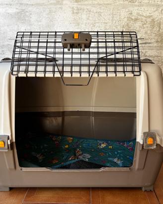 Kennel per cane