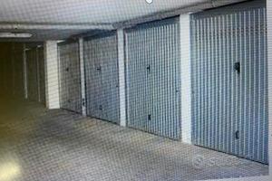 Box gazzoletti trieste