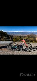 Specialized Crux Pro taglia 56