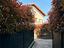 Immagine 19