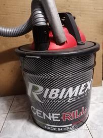 Aspiratore cenere 1000W