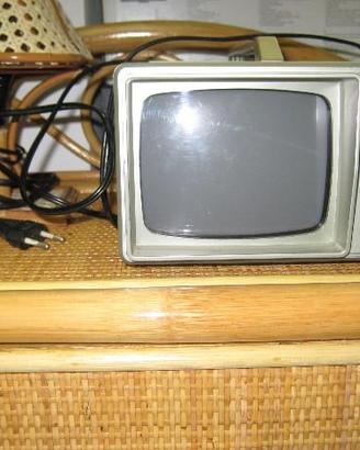 Minitelevisore con radio
