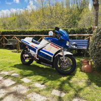 ricambi RG 500 rgv 250