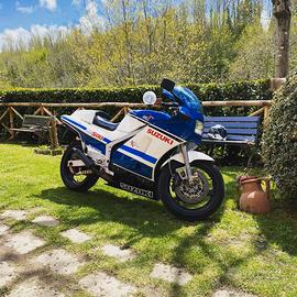 ricambi RG 500 rgv 250