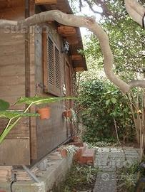 casetta di legno