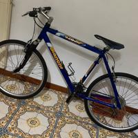 Bicicletta bianchi