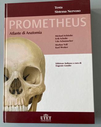PROMETHEUS - Testa, sistema nervoso