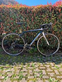 Cannondale Synapse Carbon Ultegra