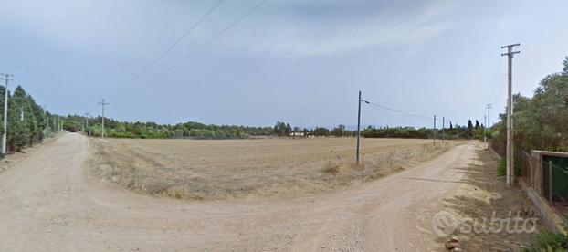 Terreno agricolo 10.000 mq