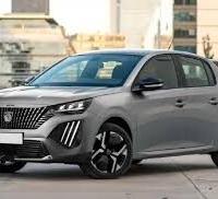 Peugeot 208 2023 2024 per ricambi