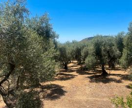 Terreno agricolo Itri