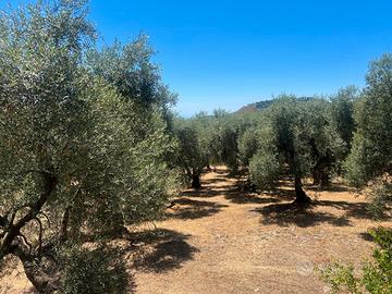 Terreno agricolo Itri