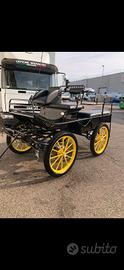 Carrozza per cavalli 