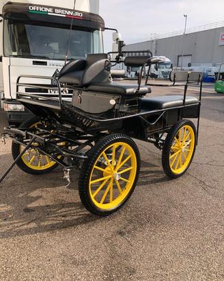 Carrozza per cavalli 
