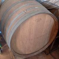 Botti in rovere Lusin Tonnellerie 500 lt