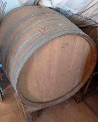Botti in rovere Lusin Tonnellerie 500 lt