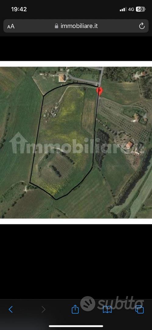5.6 ha terreno agricolo irriguo+ pozzo - Vista 2