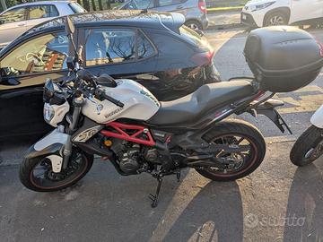 Benelli BN 302 - 2017 ABS