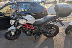 Benelli BN 302 - 2017 ABS