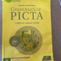 Grammatica Picta 2